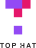 TopHat